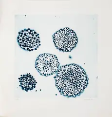 Cluster by Ross Bleckner, 2002, Etching and Aquatint in Colors on Paper, sold Sep 2024