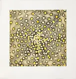 Insertion Sequence by Ross Bleckner, 2002, Etching and Aquatint in Colors on Paper, sold Sep 2024