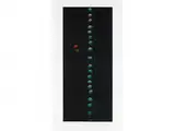 Twenty one Cherries/ Grün by Sakurako Hamaguchi, color etching, offered Dec 2016