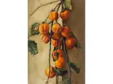 Chinesische Quitten by Carlo Vitale, oil, offered Sep 2025