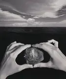 Untitled by Jerry Uelsmann, 1988, gelatin silver print, sold Dec 2019