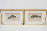 Untitled by Karpfen und Barsche, etching, sold Dec 2019