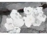 Rittersporn, Pfingstrosen und Cosmeas by Klaus Fußmann, watercolor, offered Sep 2015