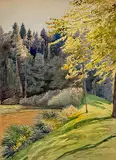 Im Wald by Otto Baumberger, watercolor, offered Dec 2019