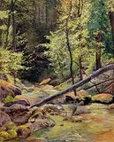 Fluss im Wald by Otto Baumberger, watercolor, offered Dec 2019