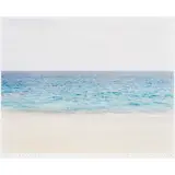 Baja #2," 1991/92 by Richard Misrach, chromogenic print, sold Jan 2023