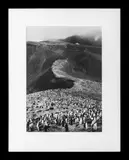 Chinstrap Penguins (Pygoscelis Antarctica) by Sebastião Salgado, 2005, Gelatin Silver Print, sold Oct 2024