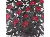 Untitled by Robert van Keppel, oil on canvas, sold Mar 2025