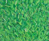 Grasbild by Bruno Gasser, 2003, mixed media, offered Sep 2019