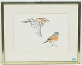 Zwei Buchfinken by Fritz Hug, watercolor, sold Sep 2019
