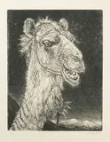 Ohne Titel by Eduard Wiiralt, aquatint, sold Jun 2019