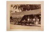 Photographer unknown, c.1860s-1870sAlbum of Ceylon views, c by Ceylon Interest, Silver gelatin prints, offered May 2023