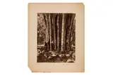 Untitled by Scowen and Co., ink, offered May 2023
