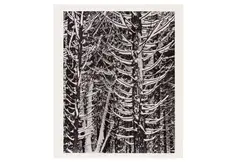 Untitled by Ansel Adams, Silver gelatin print, printed later, mounted to board, image/sheet size, offered May 2023