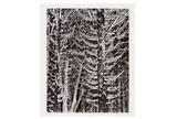 Untitled by Ansel Adams, Silver gelatin print, printed later, mounted to board, image/sheet size, offered May 2023