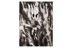 Untitled by Brett Weston, Silver gelatin print, printed, offered May 2023