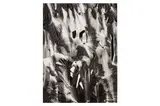 Untitled by Brett Weston, Silver gelatin print, printed, offered May 2023