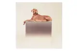 Untitled by William Wegman, Chromogenic print on glossy Fujifilm Crystal Archive paper, image size, offered May 2023