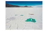 Untitled by Scarlett Hooft Graafland, Chromogenic print flush-mounted to aluminium, image size, offered May 2023
