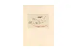 Untitled by Bruno Kreif, pencil, offered Mar 2023