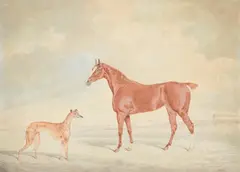 A chestnut hunter and a greyhound in a landscape by Edwin Cooper, watercolor, sold Dec 2021