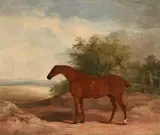 A racehorse in a landscape by James Barenger, Oil on canvas, sold Dec 2021