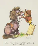 You Will Learn A Lot By Looking At His Teeth by Norman Thelwell, Pen, ink, watercolour with bodycolour, sold Dec 2021