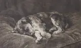 On Velvet by Herbert Dicksee, etching, sold Aug 2022