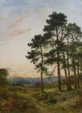Landscape at sunset with pine treesOil on boardSigned and dated by Benjamin Williams Leader, 1916, Oil on board, sold Jul 2022