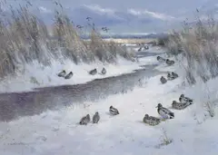 Winter Wildfowl, Hickling by Colin W. Burns, oil on board, sold Nov 2022