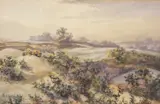 Mousehold by Stephen John Batchelder, watercolour, sold Nov 2022