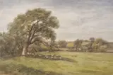 Landscape with sheep sheltering under a tree by Arthur James Stark, watercolour, sold Nov 2022