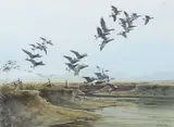 Brent Geese over Blakeney Marsh by Simon T.Trinder, watercolour, sold Nov 2022