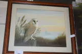 Framed and glazed by David Lawrence Coloured Print Barn Owl, PRINT, sold Nov 2022