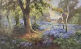 A woodland carpetered in bluebells by Daniel Sherrin, oil on canvas, sold Oct 2022