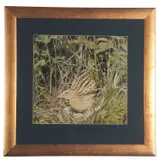 Corncrake nesting by Michael P. Jevon, gouache on card, sold Oct 2022