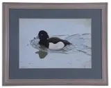 Tufted Ducks by Michael P. Jevon, 2000, Gouache on card, sold Oct 2022