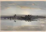 Geese by Peter Scott, 1939, pencil, sold Oct 2022