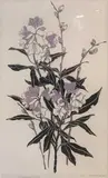 Rhododendron Willow by Bridget Mchale, screenprint, offered Oct 2022