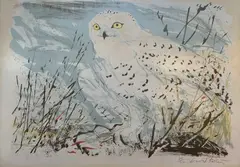 Coloured lithograph of owls by David Koster, lithograph, sold Oct 2022