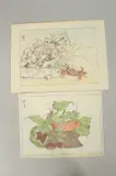 FROM THE SERIES OF KYOSAI'S DRAWINGS, two late 19th century original Japanese woodblock prints (diptych) by Kyosai Kawanabe, print (other), offered May 2024