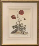 A PARCEL (13), and a parcel of prints and pictures including an ink and watercolour sketch of the demolition of the Colwyn Bay Hotel April 1075 by Well Framed Still Life Prints, ink and watercolour, sold Apr 2022