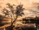 Original framed photograph by Andy Teesdale, photograph, offered Apr 2022