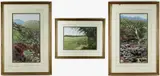 gouache - Heather on Hillside, Heather by the Falls, 36 x 20cms; and Summer Field, by Louise Southan, gouache, sold Dec 2021