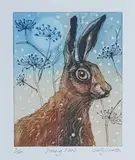 Young Hare by Sally Winter limited edition, watercolour, sold Nov 2021