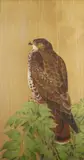 Untitled by Charles Frederick Tunnicliffe, watercolour, sold Jul 2021