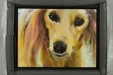 'Bunches', a portrait study of a Dog, signed bottom left, by Carol Gillan, acrylic on canvas, sold Apr 2019
