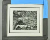 Nude Asleep by John Swannell, print, sold Mar 2019