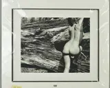 Naked landscape plate 43 by John Swannell, print, sold Mar 2019