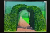 a limited edition three dimensional silkscreen print 32/75, from The Garden Series by Ivor Abrahams, print, sold Mar 2019